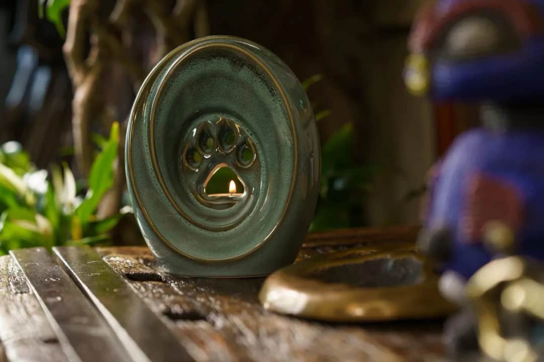 Koszt pożegnania chomika: kremacja, utylizacja i przepisy