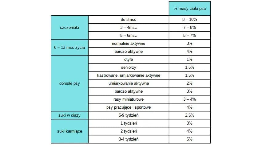 Ile karmy dla psa? Oblicz idealną porcję krok po kroku
