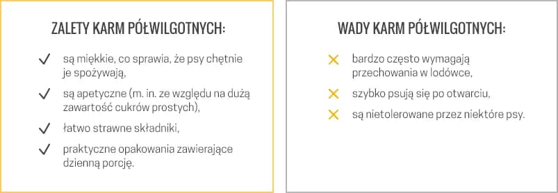 Sucha czy mokra karma dla psa? Porównanie, wady i zalety.