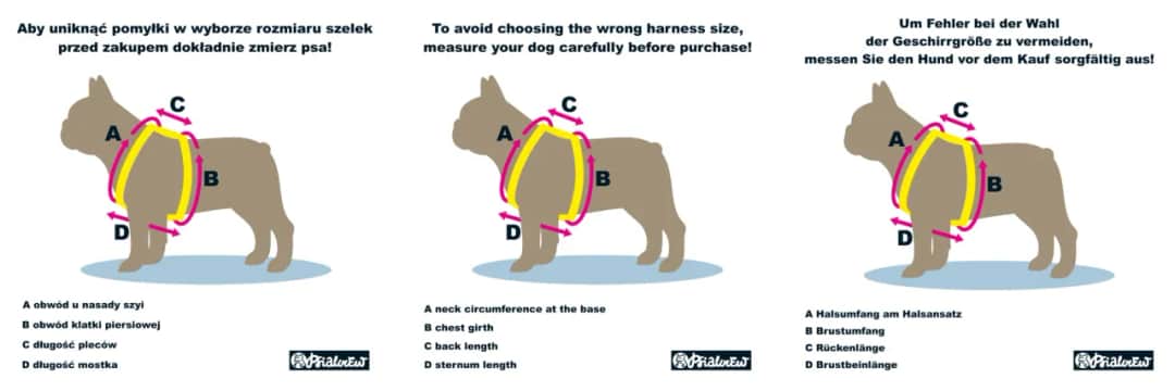 Szelki na ciągnięcie: Jaki typ wybrać i jak dopasować?