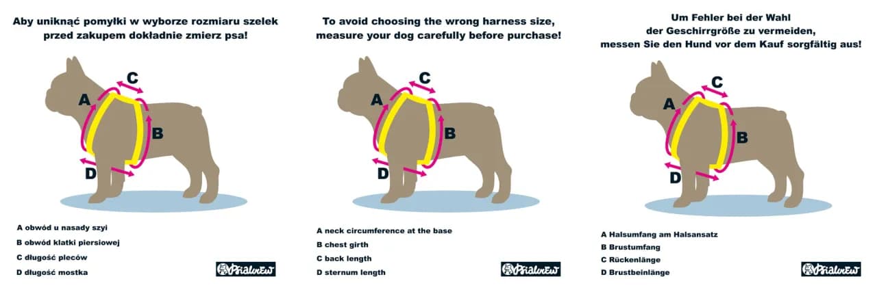 Szelki na ciągnięcie: Jaki typ wybrać i jak dopasować?
