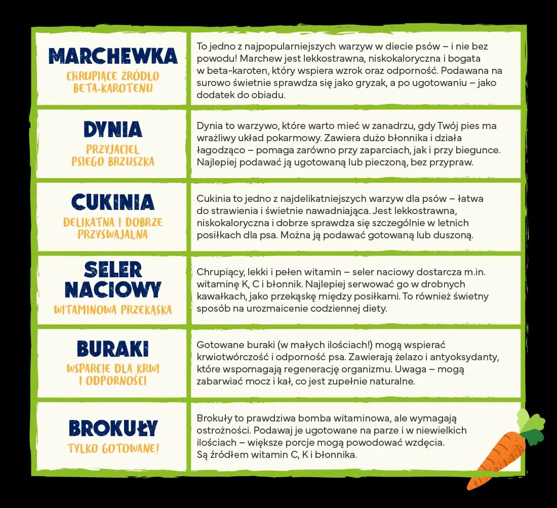 Bezpieczne warzywa dla psa: lista, przygotowanie i porady