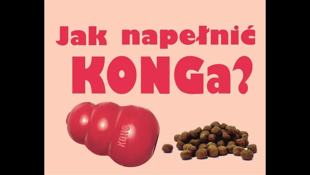 KONG dla psa: Jak używać, napełniać i czyścić? Przewodnik