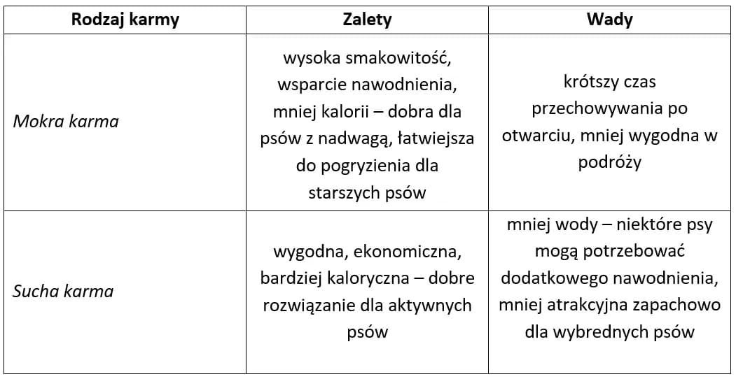 Jak dawkować mokrą karmę psu? Tabela i praktyczne wskazówki
